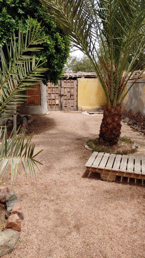 Jillyfish House, Deine Oase In Zwei Palmengarten, Central Am 'Lighthouse' Dahab Luaran gambar